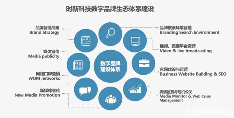 网页设计行业的演变之路:从静态到动态